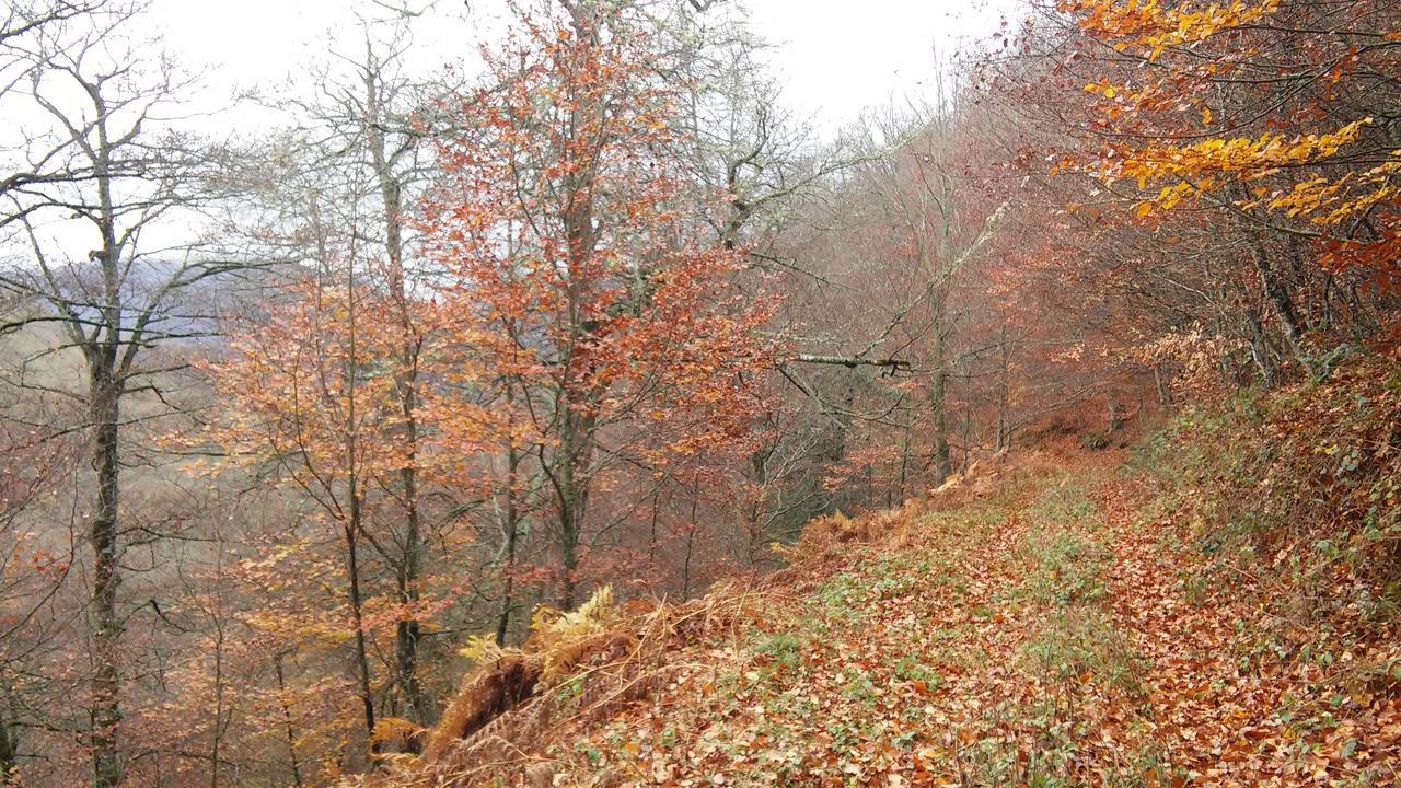 Fuente De Somave Leilighet Cahecho Eksteriør bilde